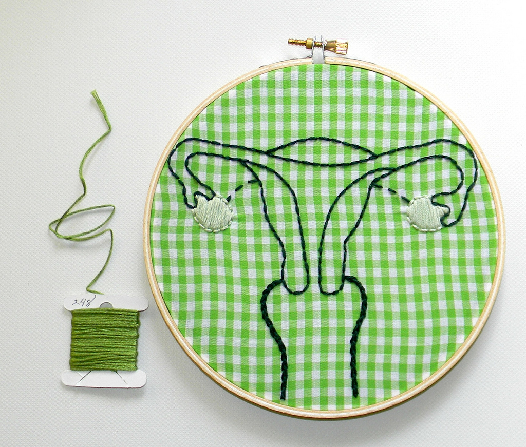 embroidered vagina 